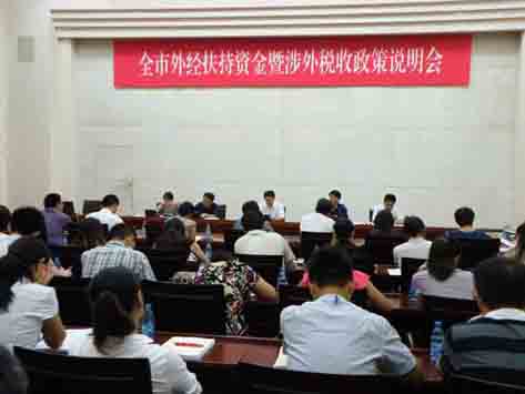 湖南涉外经济学院_涉外收入申报平台(3)