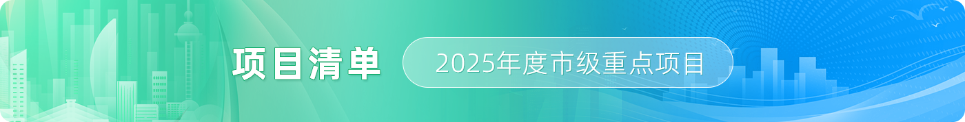 项目清单 2025年度市级重点项目