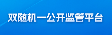 双随机一公开监管平台