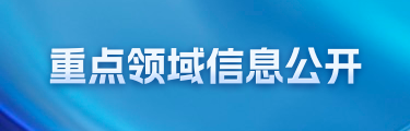 重点领域信息公开
