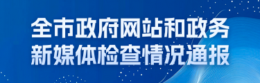全市政府网站和政务新媒体检查情况通报