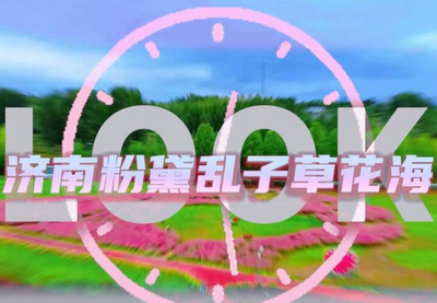 拿捏秋日氛围感？济南这些免费花海，教你轻松圈“粉”！