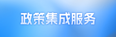 政策集成服务