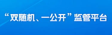 双随机一公开监管平台