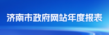 2025年济南市政府网站年度报表