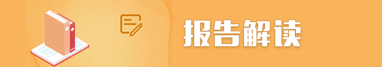 报告解读