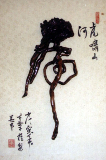 登其作品照片《望穿秋水》;1994年,山东国防报刊登《溶于自然灵气