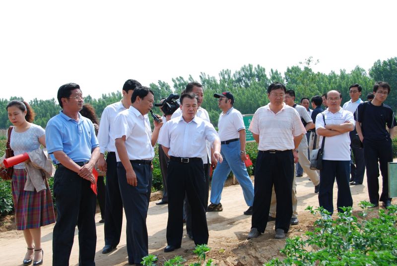 全市农业龙头企业中药材生产现场会在平阴召开