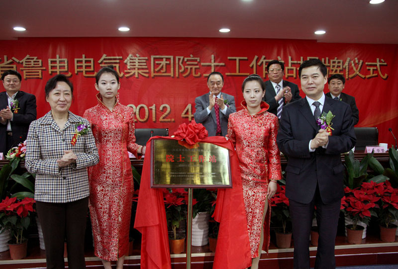 国内首个电力节能院士工作站在济成立