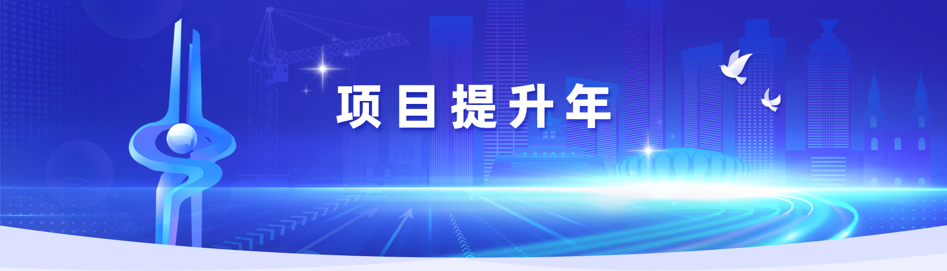 项目提升年