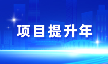 项目提升年