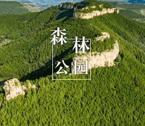 森林公园
