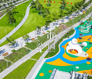城市公园