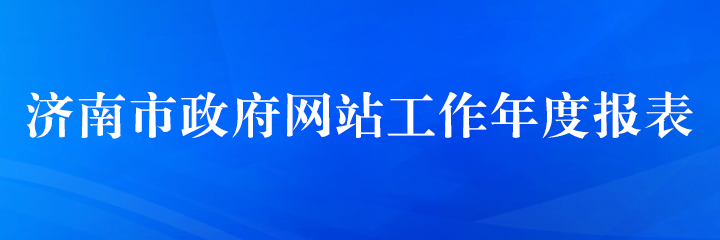 2025年济南市政府网站工作年报