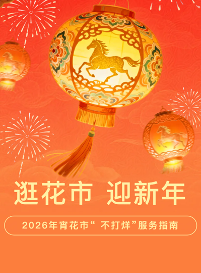 逛花市，迎新年|济南2026年宵花市“不打烊”服务指南