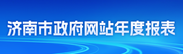 2025年济南市政府网站年度报表
