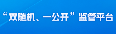 “双随机、一公开”监管平台