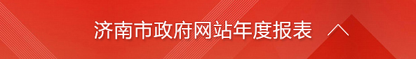 济南市政府网站年度报表