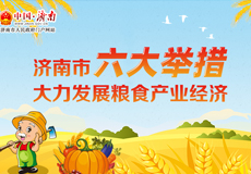 济南市六大举措大力发展粮食产业经济