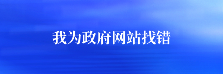 我为政府网站找错